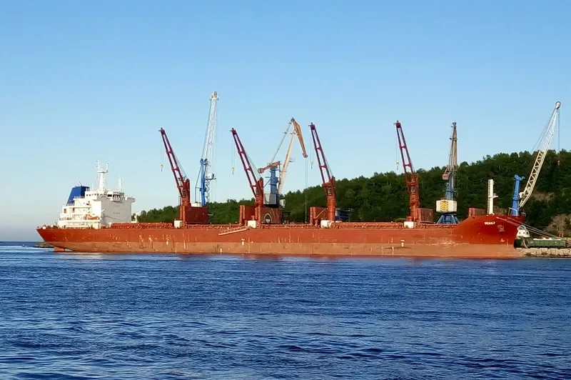 BALTIC PEARL Bulk Carrier IMO 9590620 photo 7
