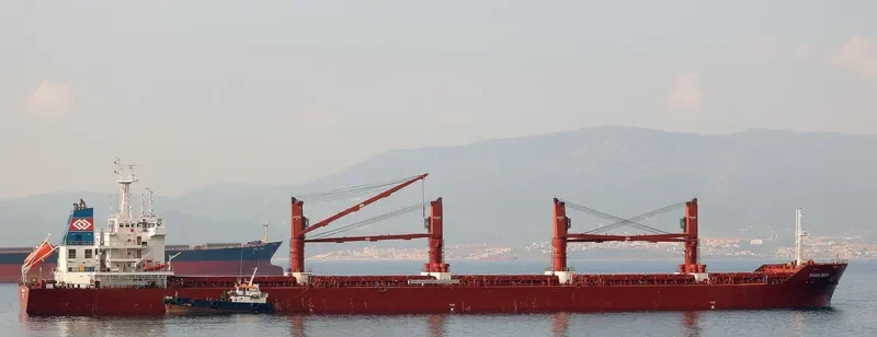 BALTIC PEARL Bulk Carrier IMO 9590620 photo 8