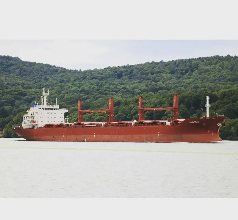 BALTIC PEARL Bulk Carrier IMO 9590620 photo 9