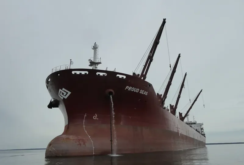 BALTIC PEARL Bulk Carrier IMO 9590620 photo 10