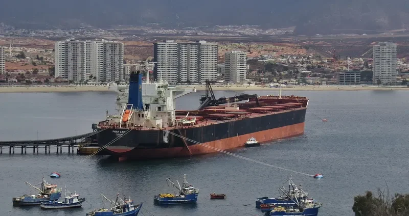 PHAR LAP Bulk Carrier IMO 9590694 photo 2