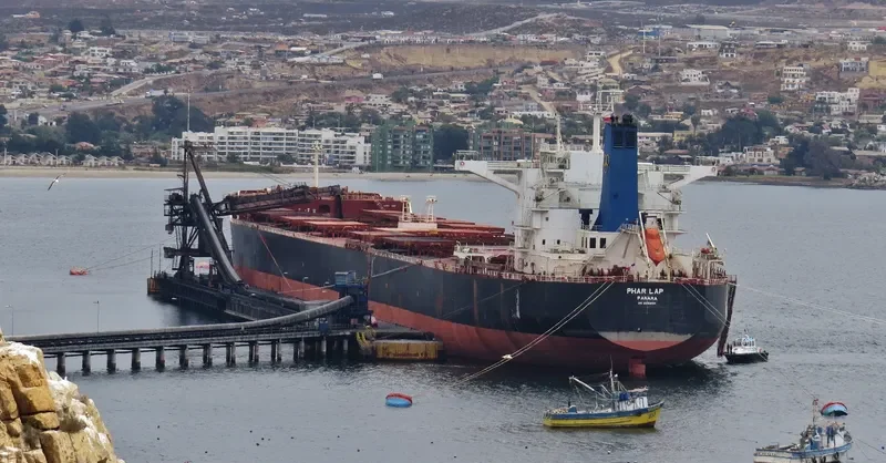 PHAR LAP Bulk Carrier IMO 9590694 photo 3