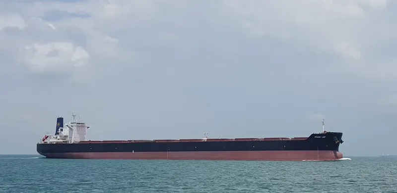 PHAR LAP Bulk Carrier IMO 9590694 photo 5
