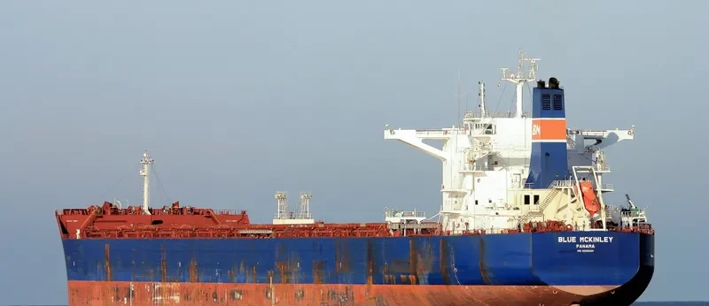 PHAR LAP Bulk Carrier IMO 9590694 photo 6