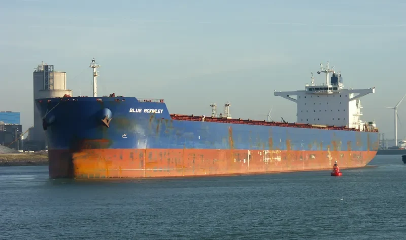 PHAR LAP Bulk Carrier IMO 9590694 photo 8