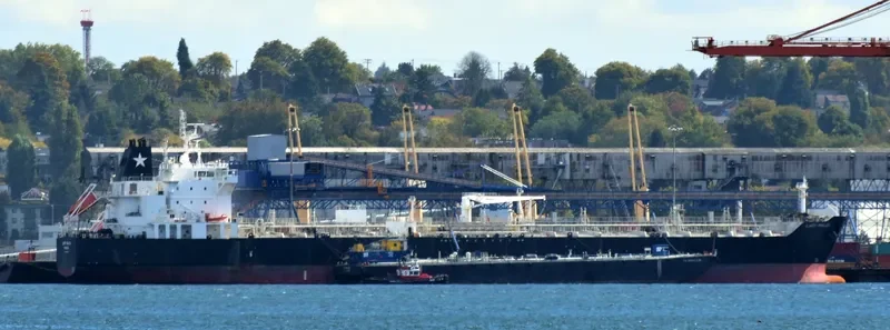 LADY MALOU Tanker IMO 9590723 photo 8