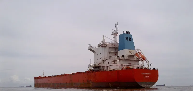 GOLDEN ROSE Bulk Carrier IMO 9590747