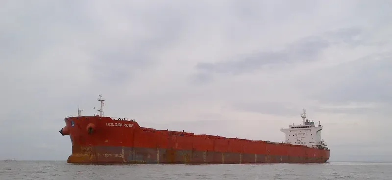 GOLDEN ROSE Bulk Carrier IMO 9590747 photo 3