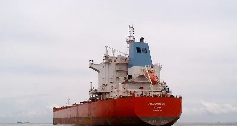 GOLDEN ROSE Bulk Carrier IMO 9590747 photo 4