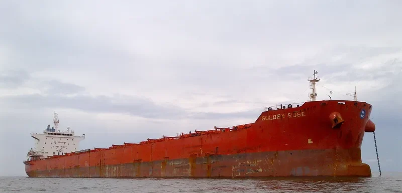 GOLDEN ROSE Bulk Carrier IMO 9590747 photo 5