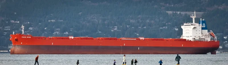 GOLDEN ROSE Bulk Carrier IMO 9590747 photo 6