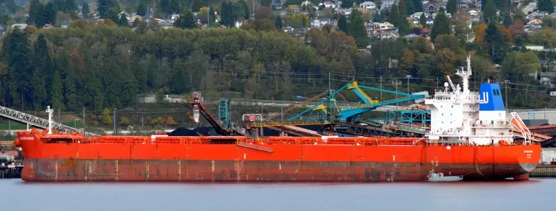 GOLDEN ROSE Bulk Carrier IMO 9590747 photo 7