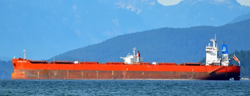 GOLDEN ROSE Bulk Carrier IMO 9590747 photo 9