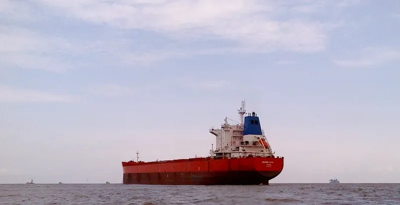 GOLDEN DAISY Bulk Carrier IMO 9590759