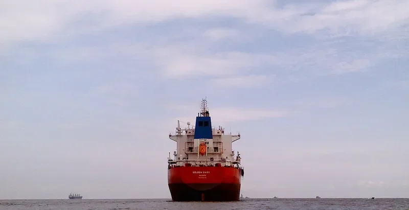 GOLDEN DAISY Bulk Carrier IMO 9590759 photo 2