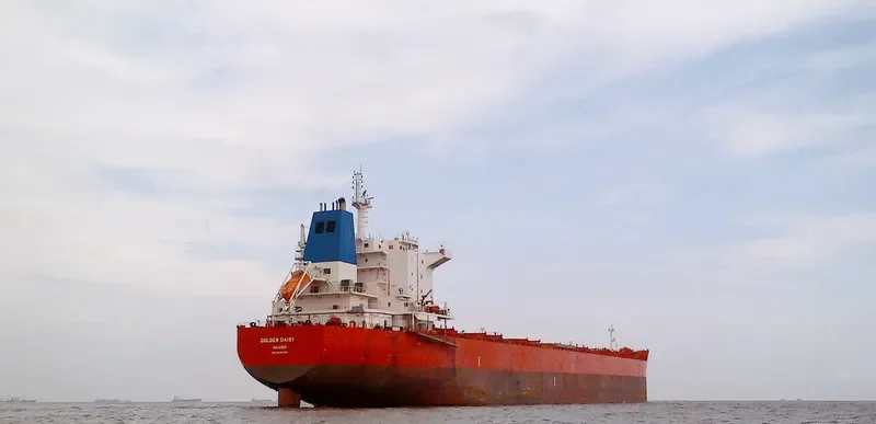 GOLDEN DAISY Bulk Carrier IMO 9590759 photo 3
