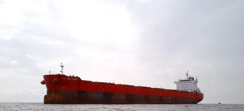 GOLDEN DAISY Bulk Carrier IMO 9590759 photo 4