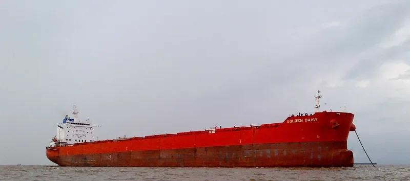 GOLDEN DAISY Bulk Carrier IMO 9590759 photo 5