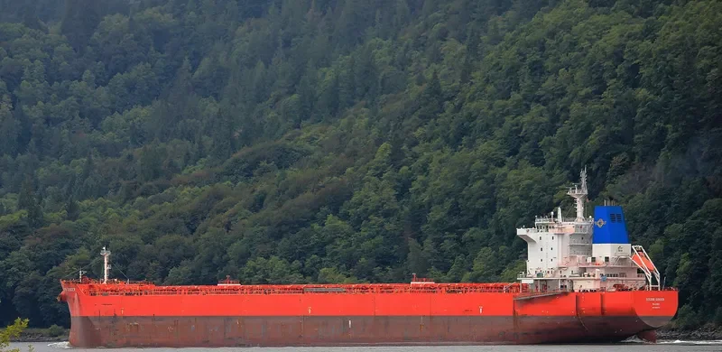 GOLDEN GINGER Bulk Carrier IMO 9590761