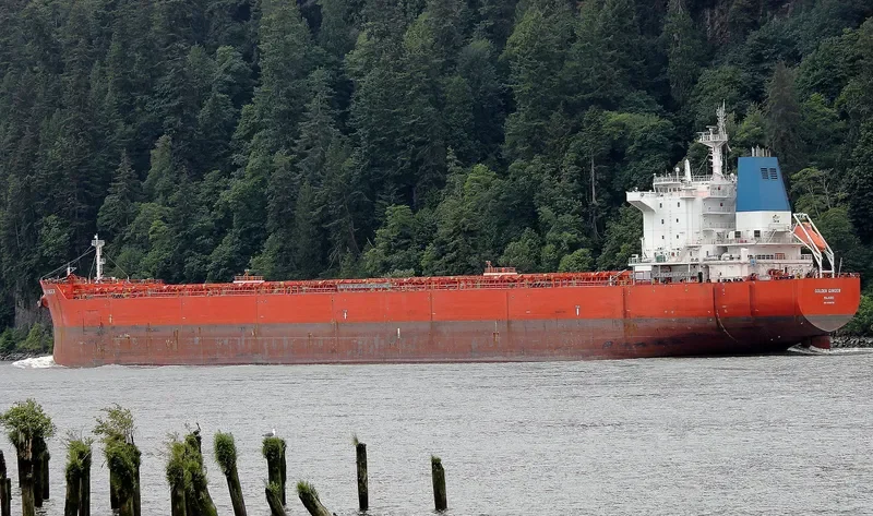 GOLDEN GINGER Bulk Carrier IMO 9590761 photo 3