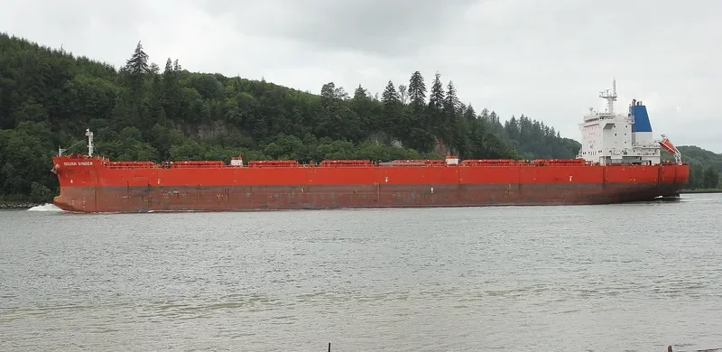 GOLDEN GINGER Bulk Carrier IMO 9590761 photo 5
