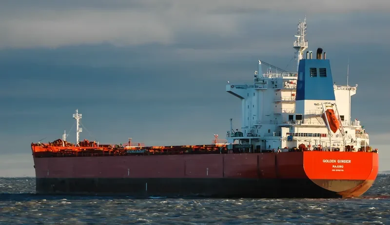GOLDEN GINGER Bulk Carrier IMO 9590761 photo 7