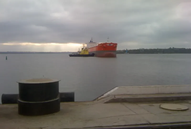 GOLDEN GINGER Bulk Carrier IMO 9590761 photo 9