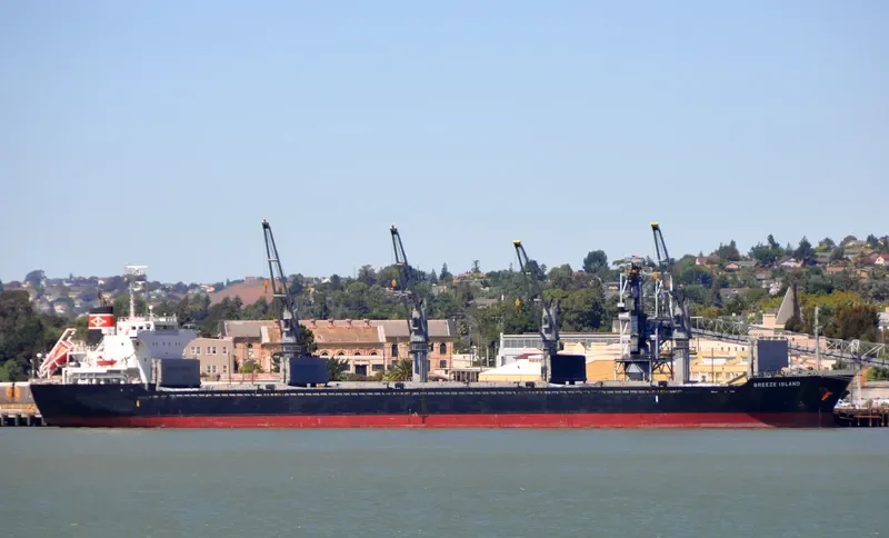 STENTOR Bulk Carrier IMO 9590785 photo 2