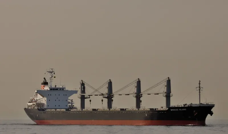 STENTOR Bulk Carrier IMO 9590785 photo 4