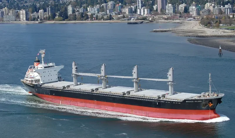 STENTOR Bulk Carrier IMO 9590785 photo 5
