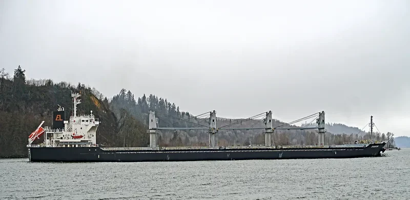 STENTOR Bulk Carrier IMO 9590785 photo 8