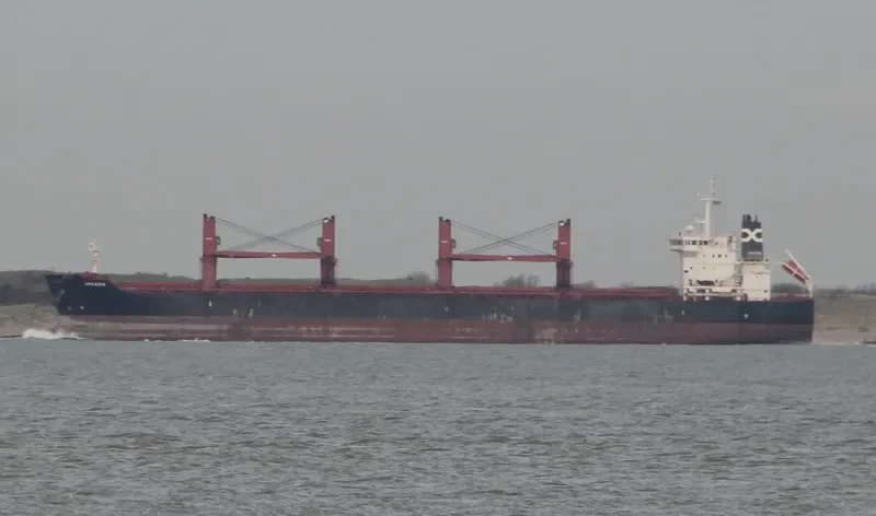 ARKADIA Bulk Carrier IMO 9590797
