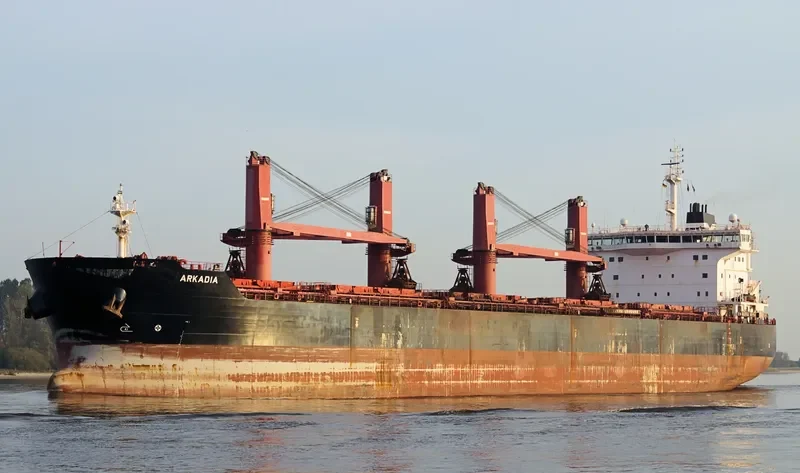 ARKADIA Bulk Carrier IMO 9590797 photo 6