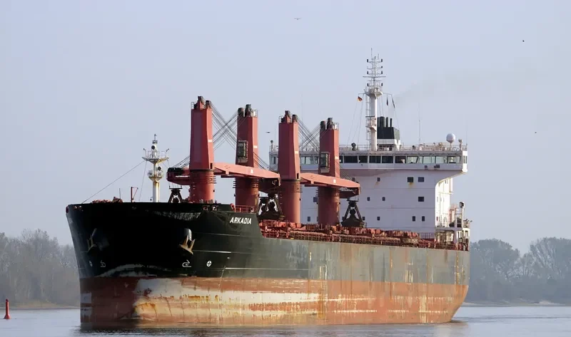 ARKADIA Bulk Carrier IMO 9590797 photo 7
