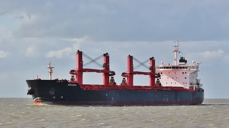 ARKADIA Bulk Carrier IMO 9590797 photo 9