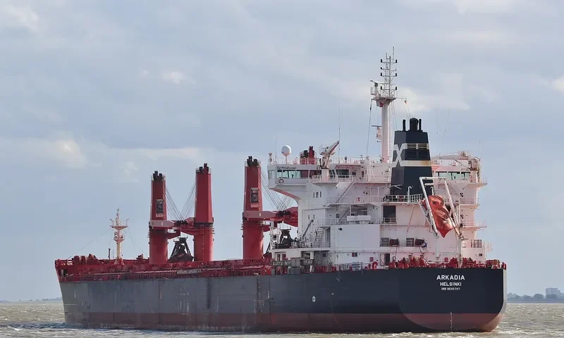ARKADIA Bulk Carrier IMO 9590797 photo 10