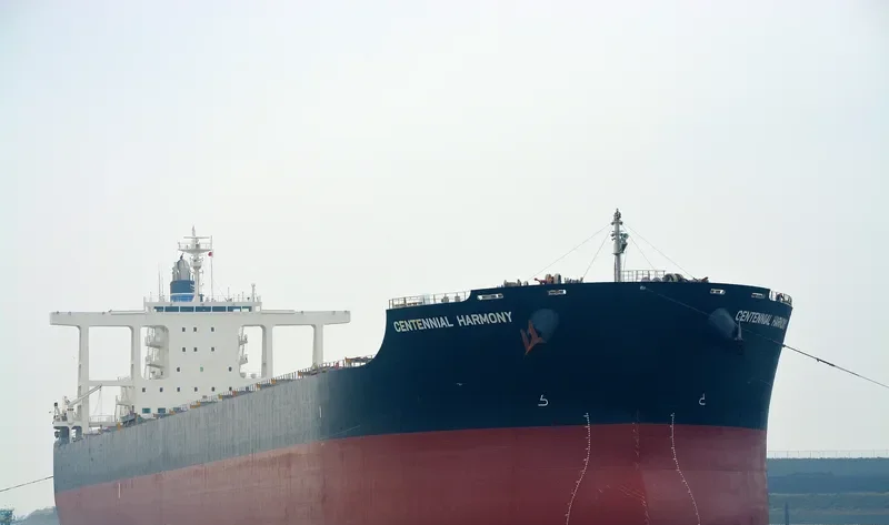 CENTENNIAL HARMONY Bulk Carrier IMO 9590838 photo 3