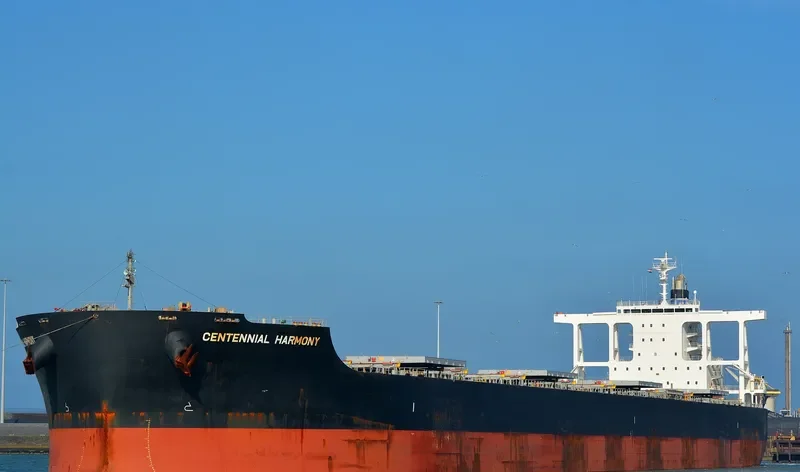 CENTENNIAL HARMONY Bulk Carrier IMO 9590838 photo 8