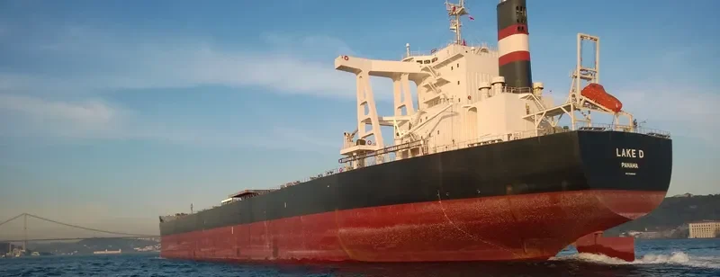 LAKE D Bulk Carrier IMO 9590840 photo 2