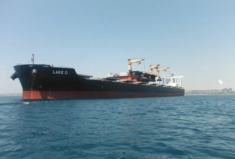 LAKE D Bulk Carrier IMO 9590840 photo 6