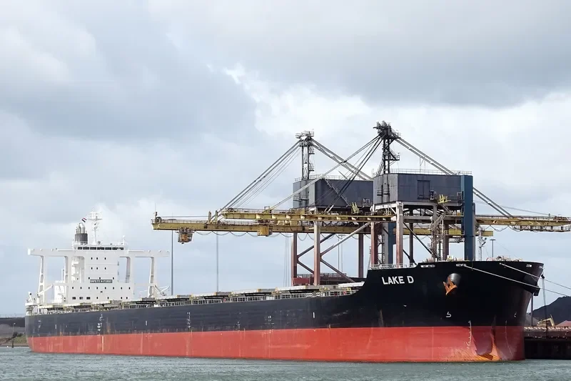 LAKE D Bulk Carrier IMO 9590840 photo 9