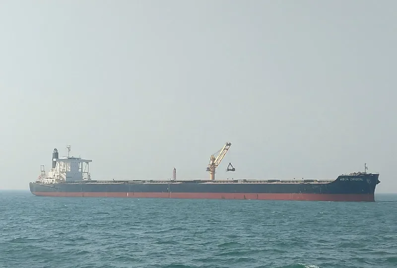 BERGE MCCLINTOCK Bulk Carrier IMO 9590852 photo 10