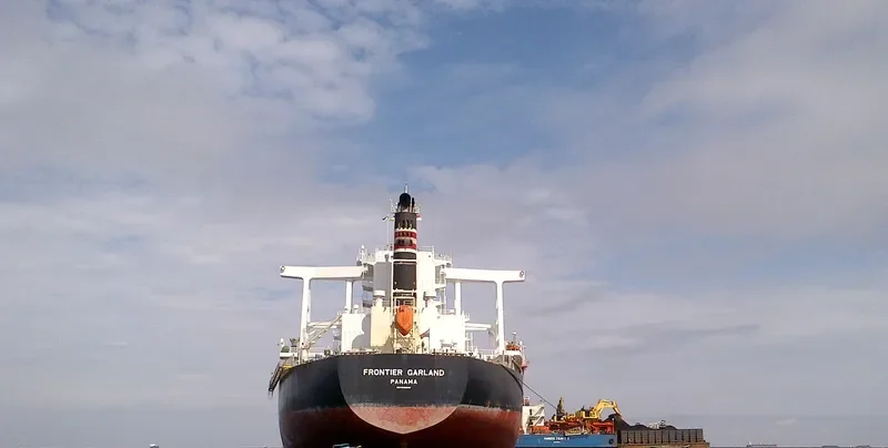 FRONTIER GARLAND Bulk Carrier IMO 9590890 photo 6