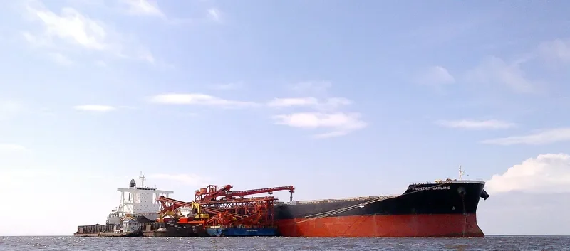 FRONTIER GARLAND Bulk Carrier IMO 9590890 photo 8