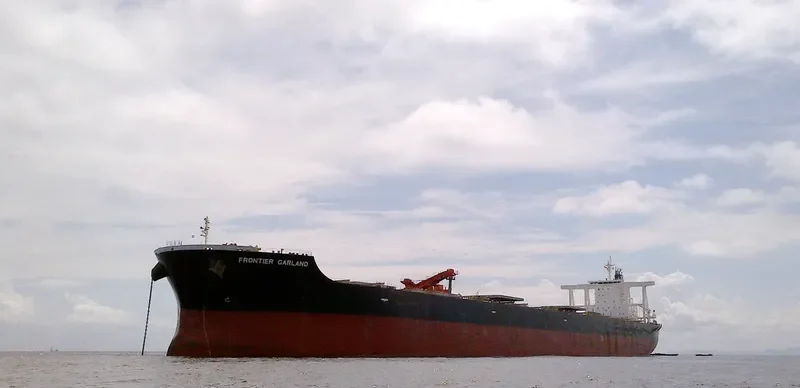 FRONTIER GARLAND Bulk Carrier IMO 9590890 photo 9