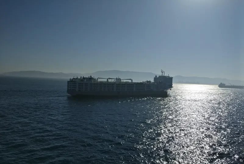 OCEAN SHEARER General Cargo IMO 9590931 photo 2