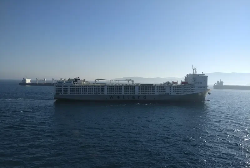 OCEAN SHEARER General Cargo IMO 9590931 photo 7