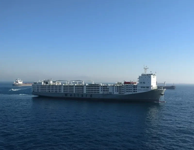 OCEAN SHEARER General Cargo IMO 9590931 photo 8