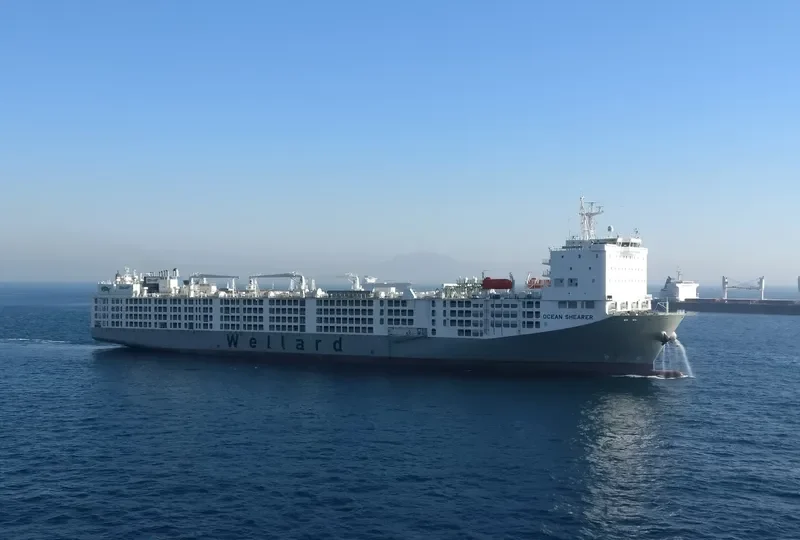 OCEAN SHEARER General Cargo IMO 9590931 photo 9