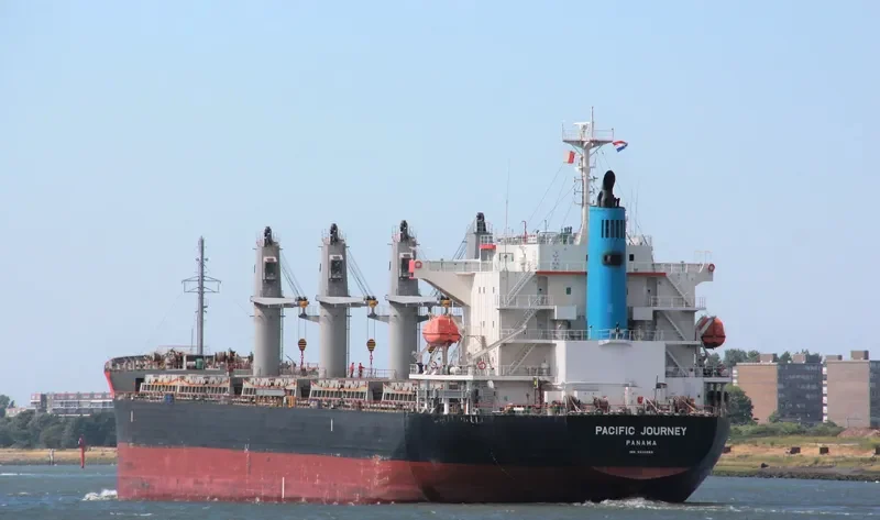 MEL GRACE Bulk Carrier IMO 9590955 photo 3